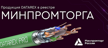 DATAREX в реестре Минпромторга